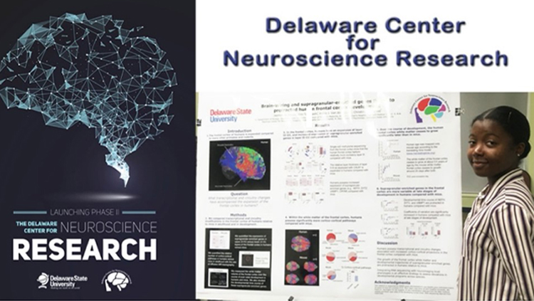 Delaware Center for Neuroscience Research poster, and a young woman standing next to her poster presentation.