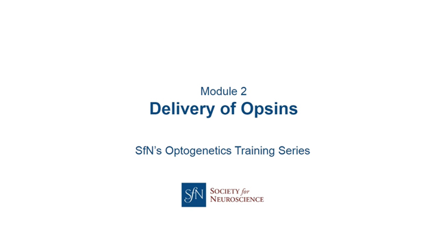 Delivery of Opsins title image with SfN logo.