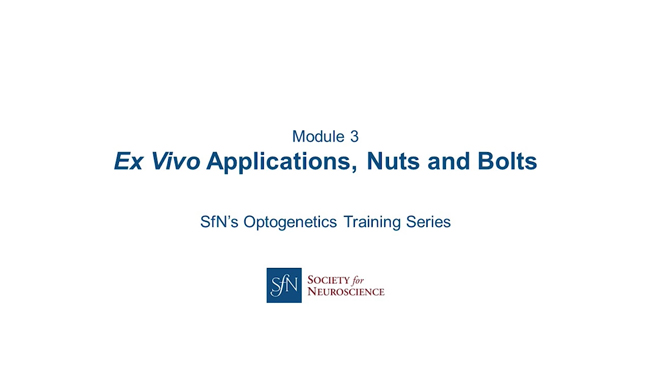 Ex Vivo Applications, Nuts and Bolts title image