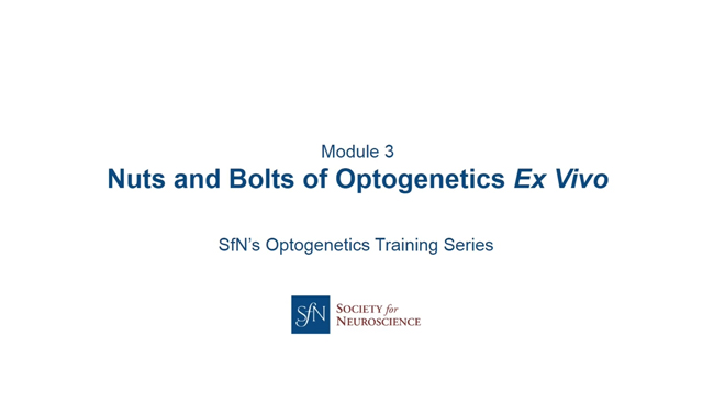 Nuts and Bolts of Optogenetics Ex Vivo title image with white background