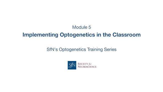 Implementing Optogenetics in the Classroom title image