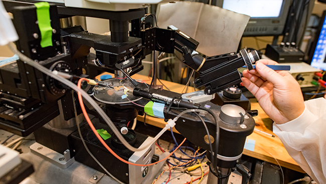 Optogenetics experiment set up in a lab