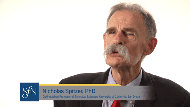 Nicholas Spitzer talks about hwo to find the right mentors and ask for career advice.