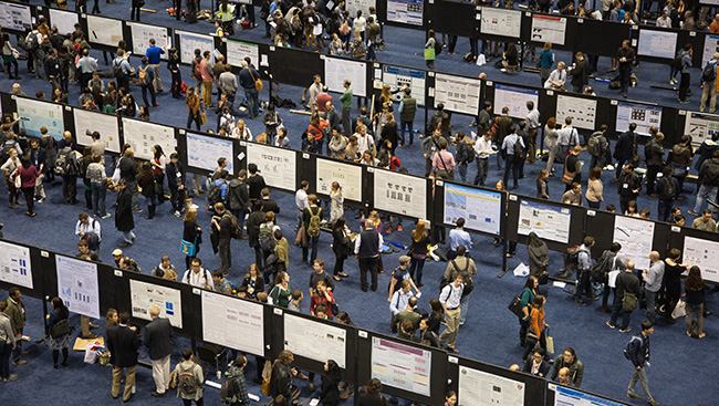 Neuroscientists network and share science at a conference. 