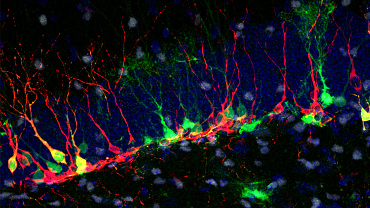 Power Dynamics in Training and Research Environments Strategies for Success