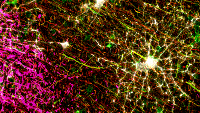 Scientific stock image