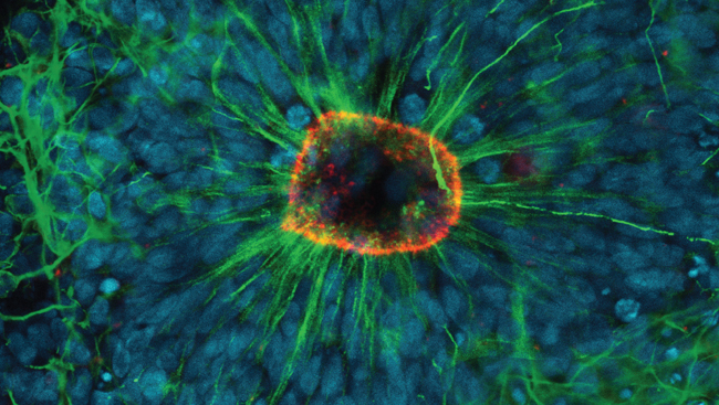 Scientific stock image