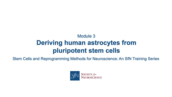 Title card for presentation, Deriving Human Astrocytes from Pluripotent Stem Cells