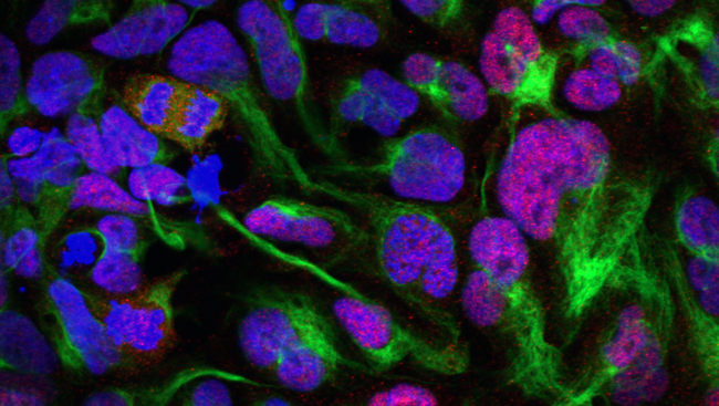 Scientific stock image