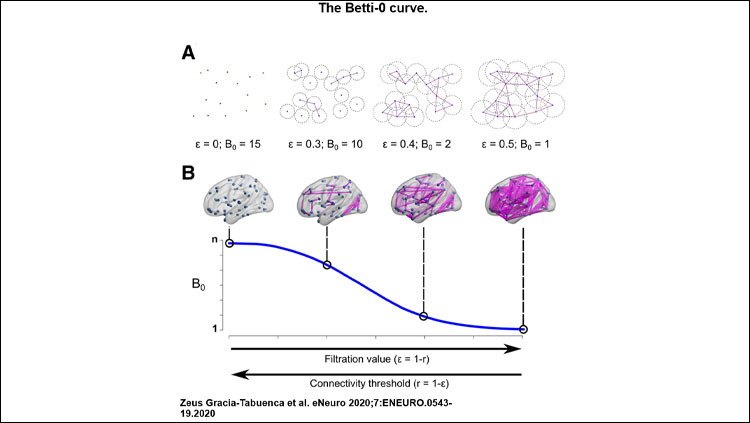  The Betti-0 curve. A, Two-dimensional toy example: a set of 15 nodes, four filtration values ε, represented as the circle diameter and their corresponding Betti-0 (B0). B, Betti-0 curve for a hypothetical brain network; each point in the curve represents the B0 for each filtration value. In both cases, at ε = 0 the number of components is equal to the number of nodes, n. As the filtration value increases, the number of components reduces, and eventually will reach a single one containing all nodes. Brain views generated with brain-net (Xia et al., 2013), r stands for Pearson’s correlation.