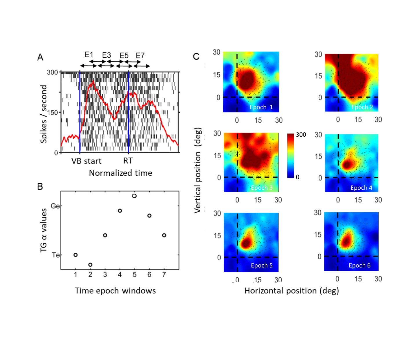 Rapid evolution of neural signals in the superior colliculus from visual information to commands for gaze movements during reactive gaze shifts. From Morteza Sadeh et al., eNeuro 2019.