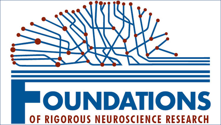 Image of a brain made up of blue outlines above the words "Foundations of Rigorous Neuroscience Research"