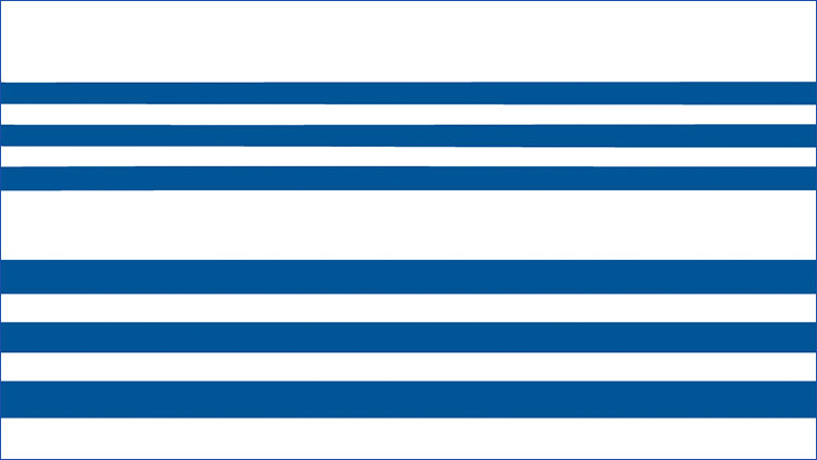 A white background with horizontal blue lines.
