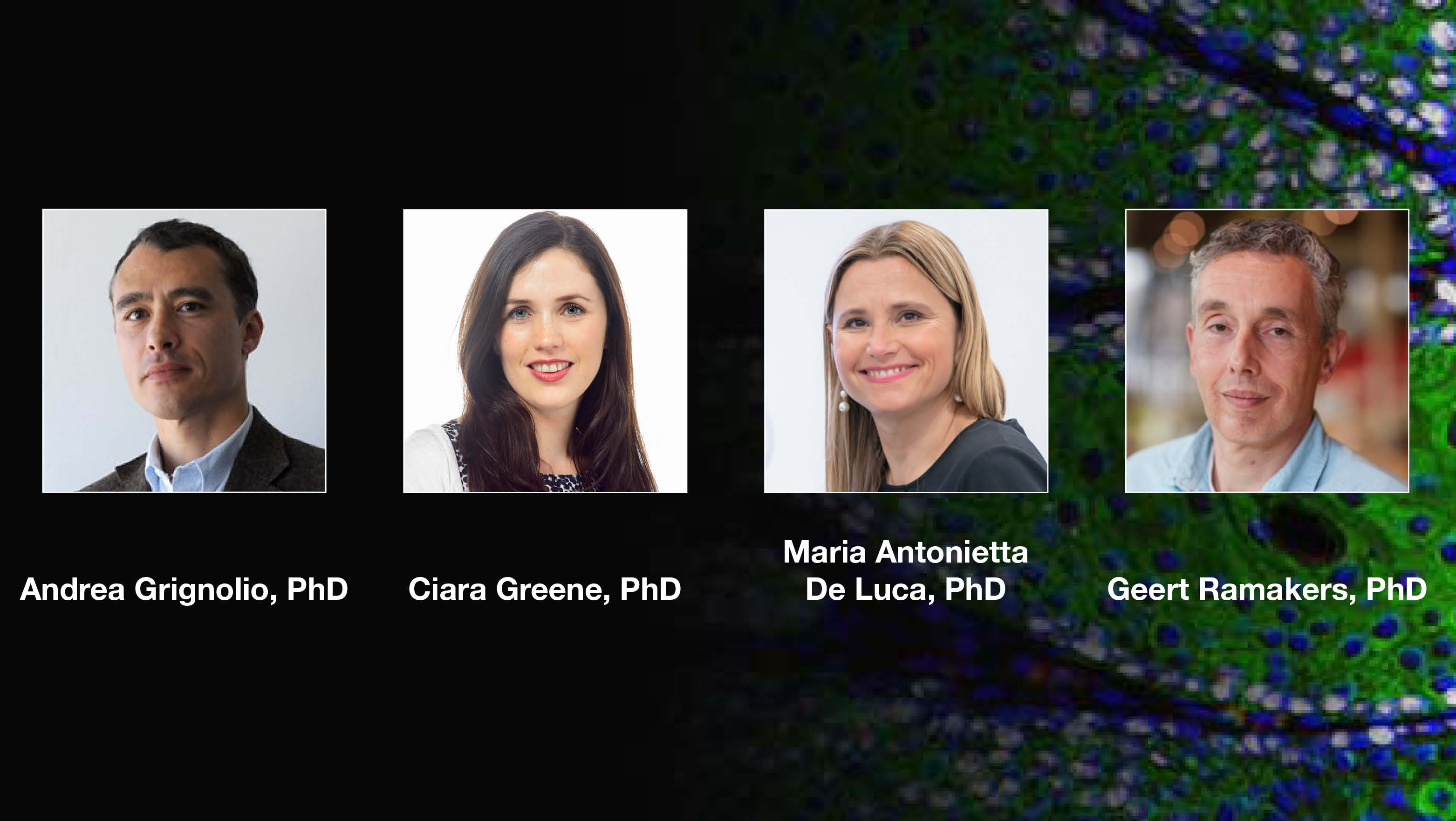 FENS/CHET Webinar participants