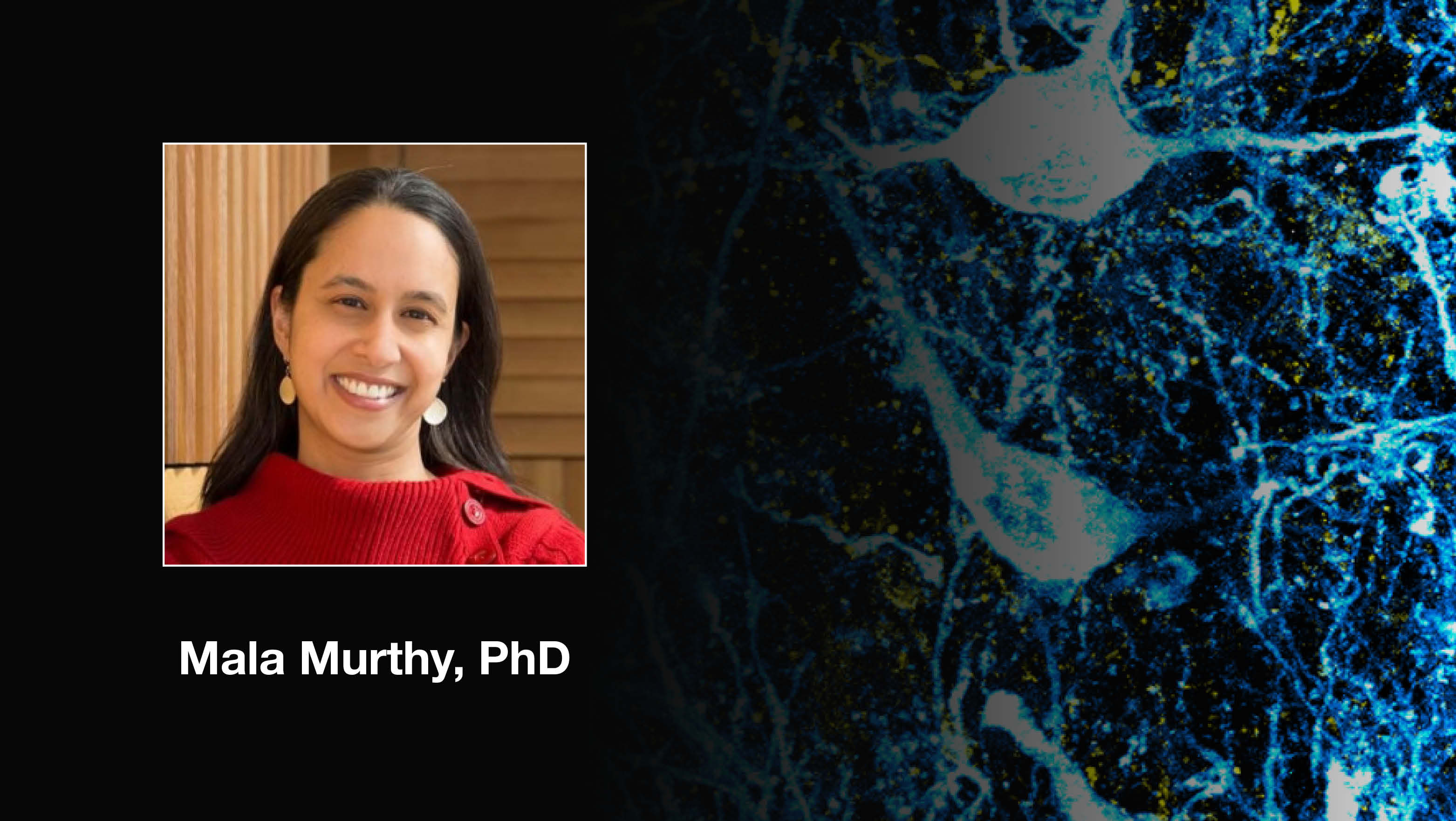 Headshot of Mala Murthy over a scientific image.