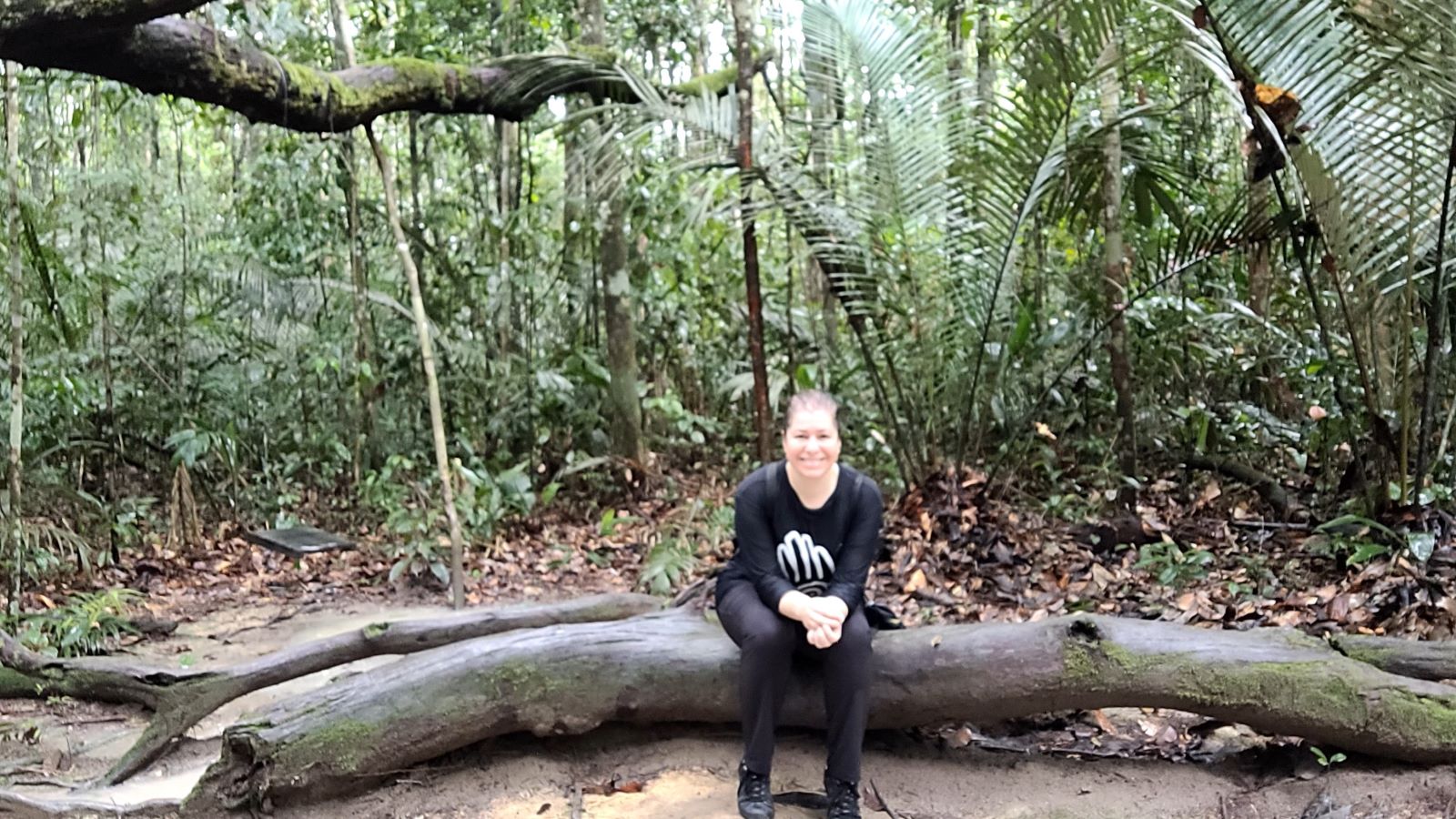 Amazon Jungle