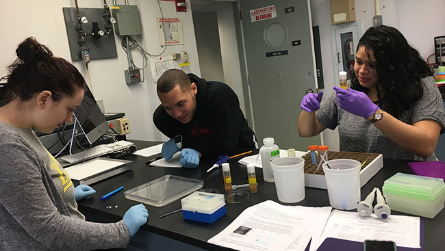 A group of undergraduate students studying neuroscience conduct research over the summer. 