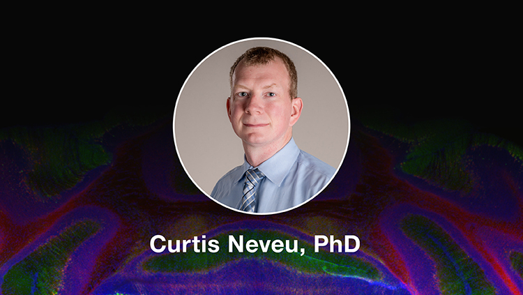 Illustrating Scientific Discoveries With Adobe Illustrator, Part 1 and Part 2 with Curtis Neveu, PhD