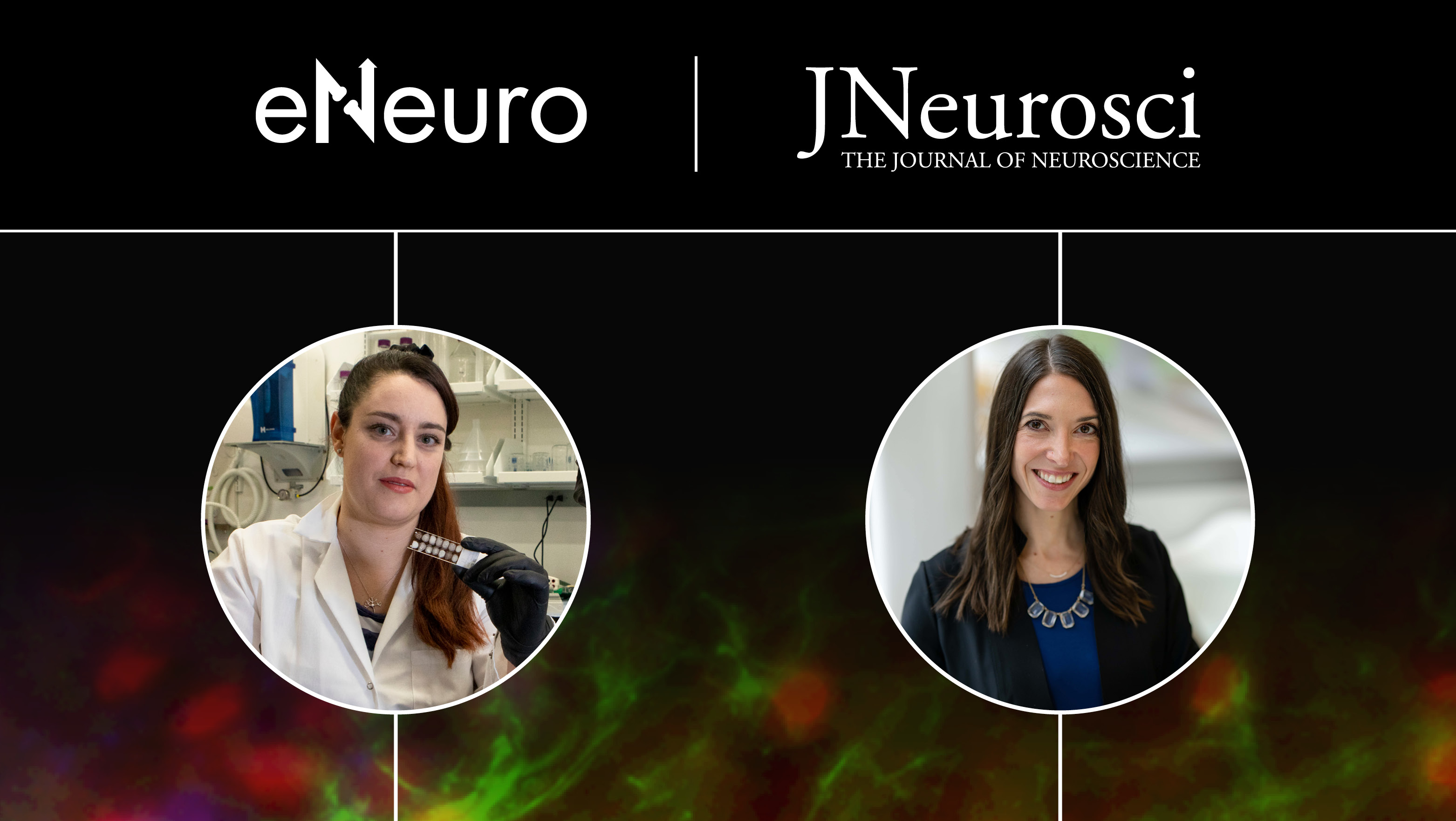 Reactivation of Early-Life Stress-Sensitive Neuronal Ensembles Contributes to Lifelong Stress Hypersensitivity