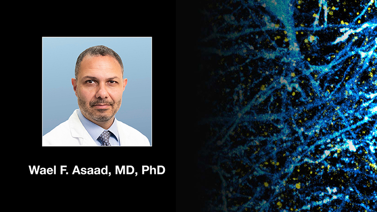 You Can’t Respect the Brain and Be a Neurosurgeon and Other Tall Tales