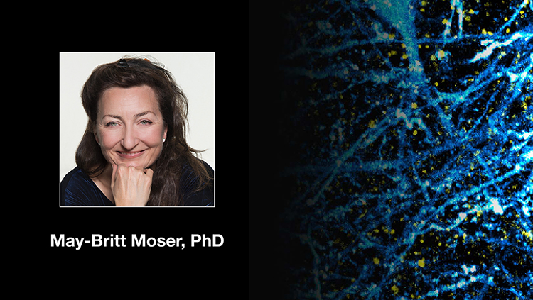 My Journey to Find the Neural Basis of Space, Time, and Memory