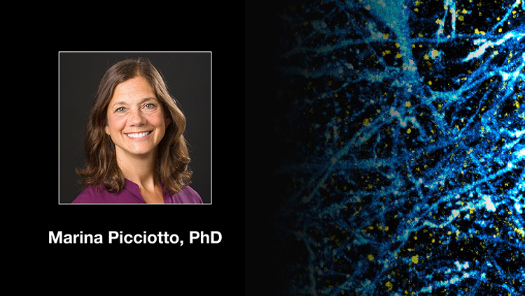 Stress Induced Acetylcholine Signaling in Affective Behaviors - Too Much of a Good Thing