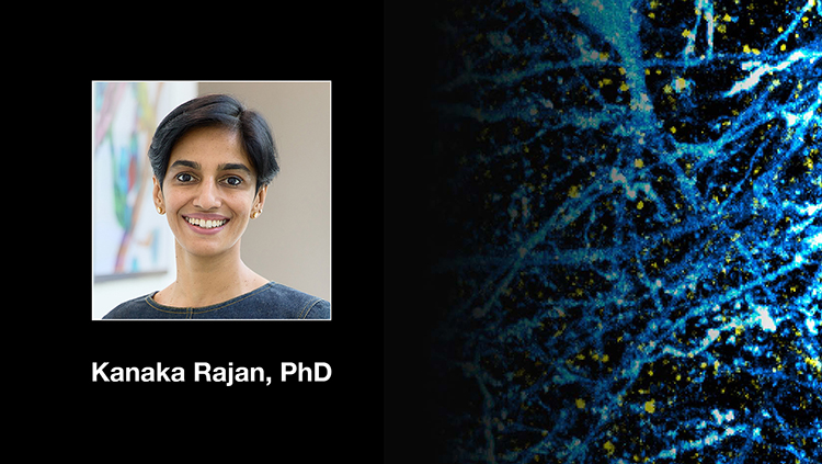 The Allure of Computational Neuroscience