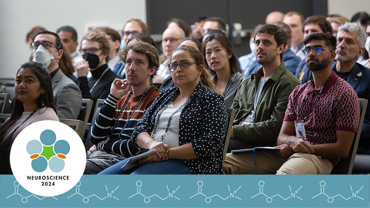 How to Organize a Nanosymposium for Neuroscience 2024