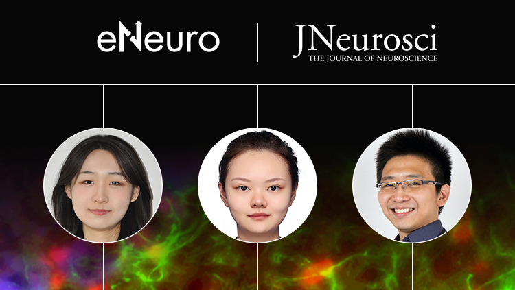 SfN Journals: In Conversation