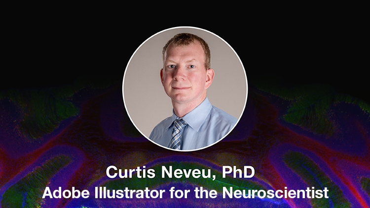 Adobe Illustrator for the Neuroscientist thumbnail with Curtis headshot