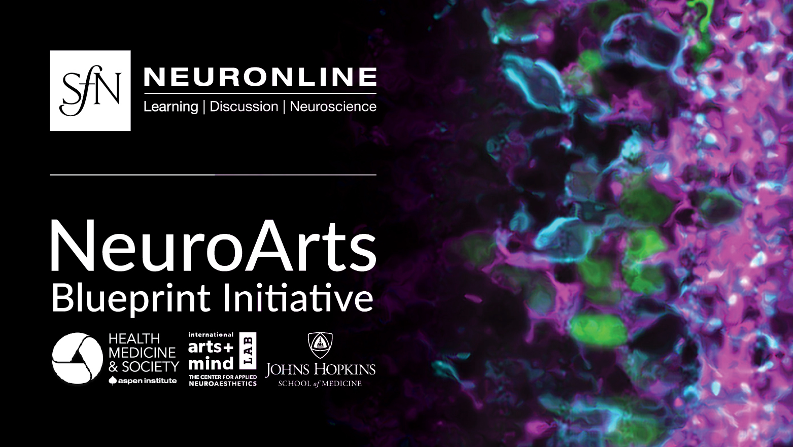 261324520 NeuroArts Webinar8750x423 2